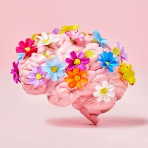 a pink brain with pink background. the brain has multicolored flowers on it to represent emotional intelligence