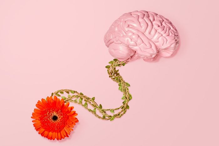 gut instinct represented by a flower connected to a brain with a vine