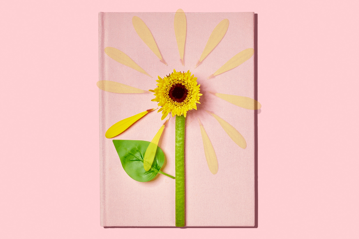 yellow flower on a pink book on pink background. the petals of the flower are appearing and disappearing to create the illusion of a loading symbol