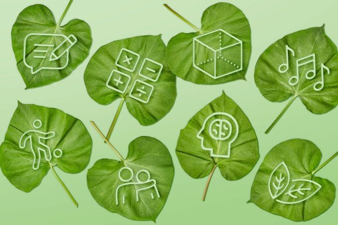 leaves showing icons representing the 8 types of intelligence on green background