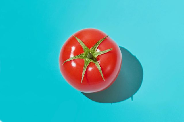 tomato on blue background