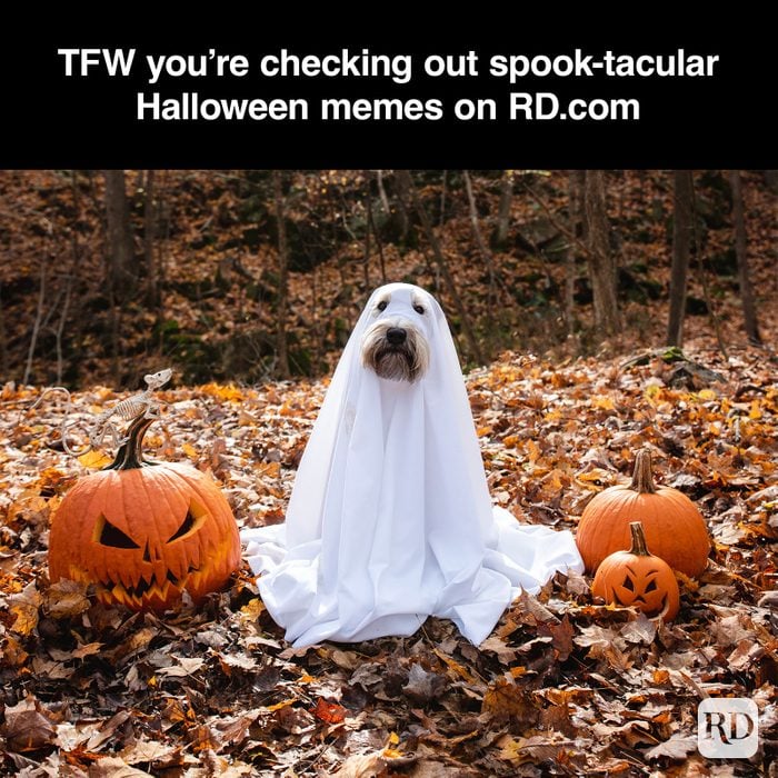 Halloween Memes Ft Gettyimages 1292050146