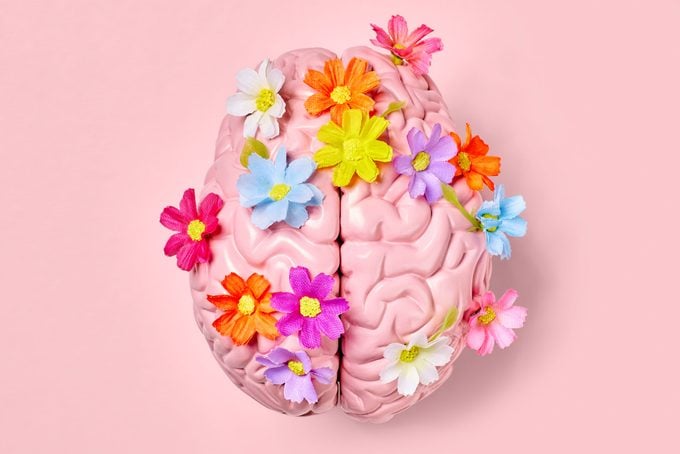 overhead view of pink brain with bright flowers on pink background