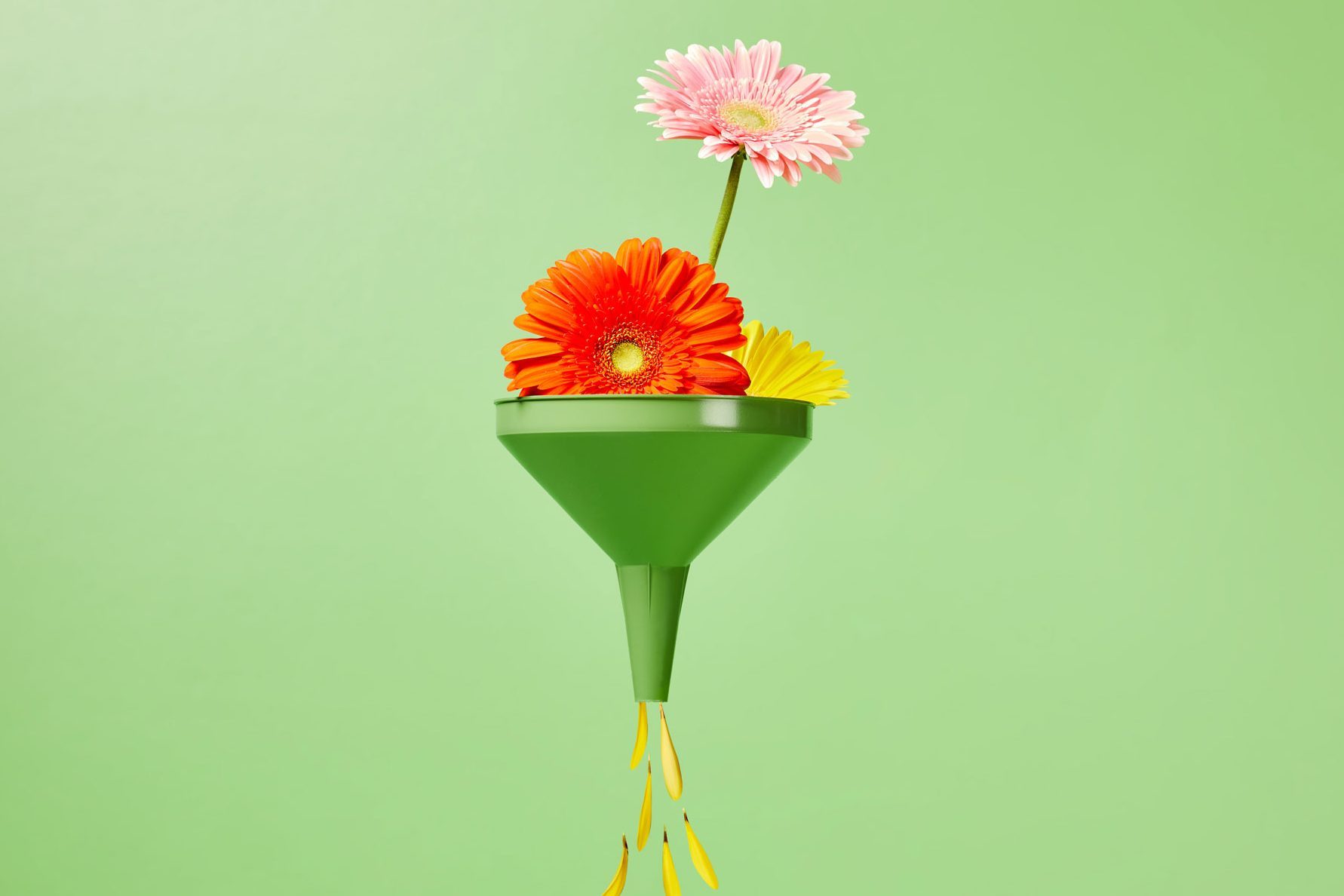 different colors of flowers being focused through a funnel so that only yellow petals come out the bottom; green background