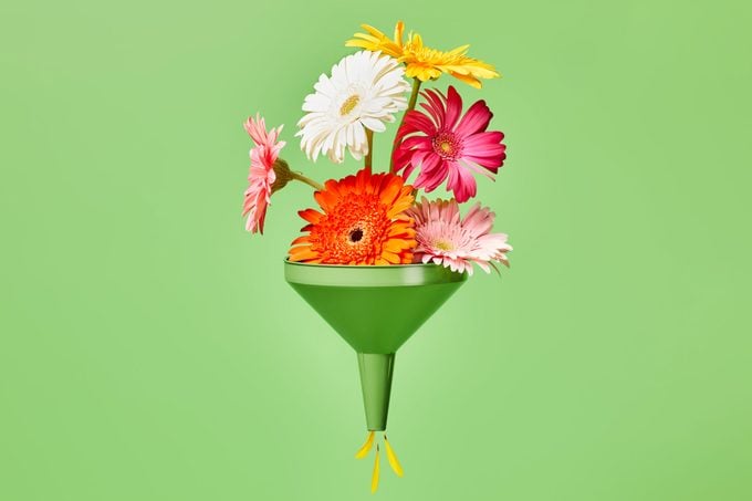 many bright flowers in a green funnel with a steady stream of only yellow petals focused out the bottom; green background