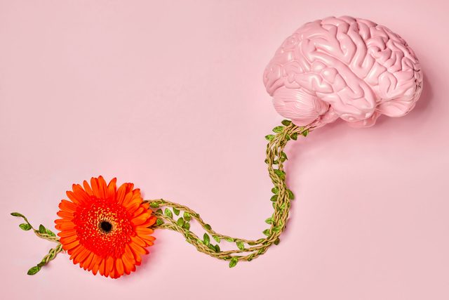pink brain connected by a green vine to a bright orange flower representing gut instinct; pink background