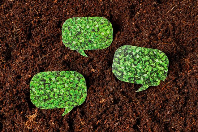 three speech bubbles with a leafy pattern on a soil background