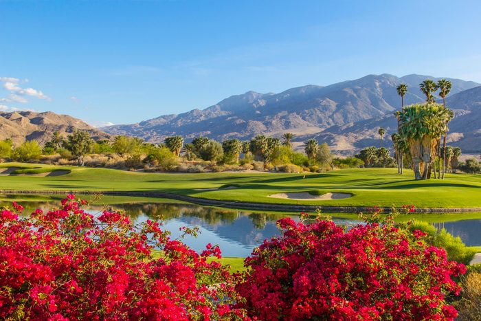 Golf course in Palm Springs, California (P)