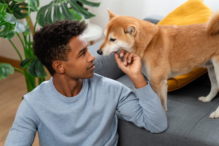african american man with shiba inu dog at home