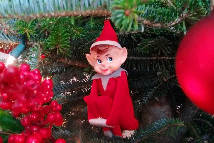 elf on a shelf in a christmas tree