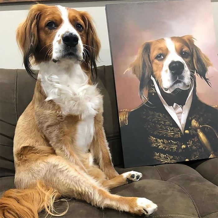 The General Custom Pet Portrait