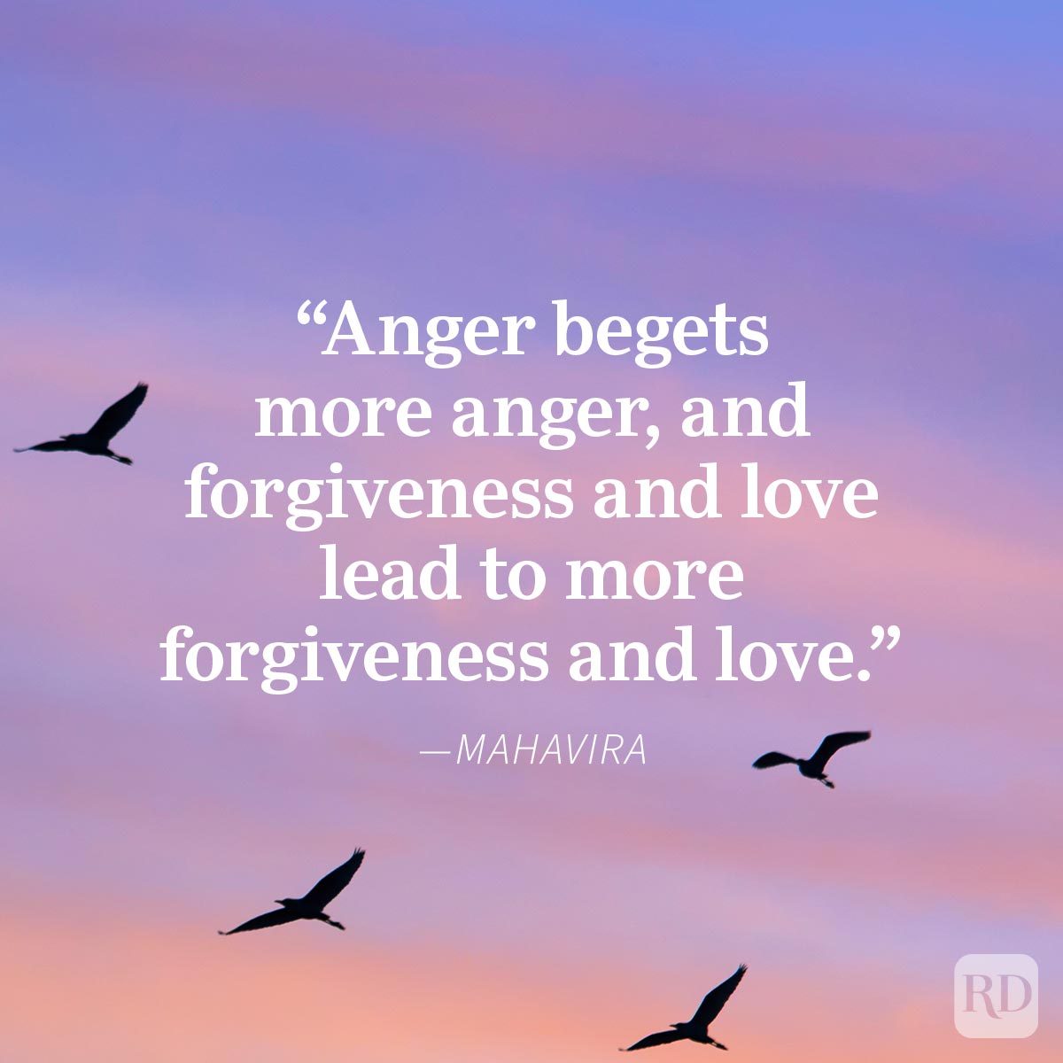 Forgiveness quotes about love on a peaceful sunset background with birds flying