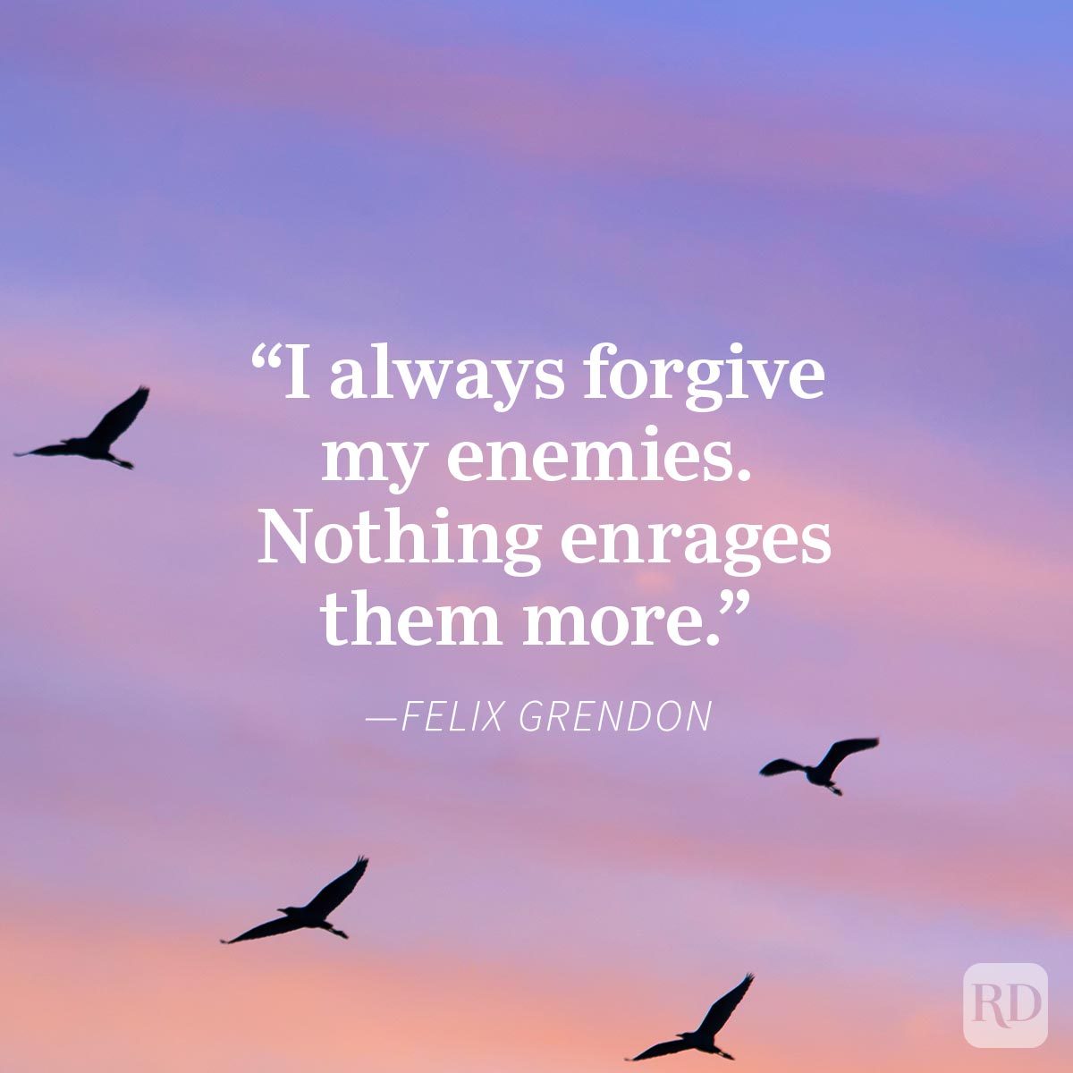 Quotes about forgiving your enemies on a peaceful sunset background with birds flying