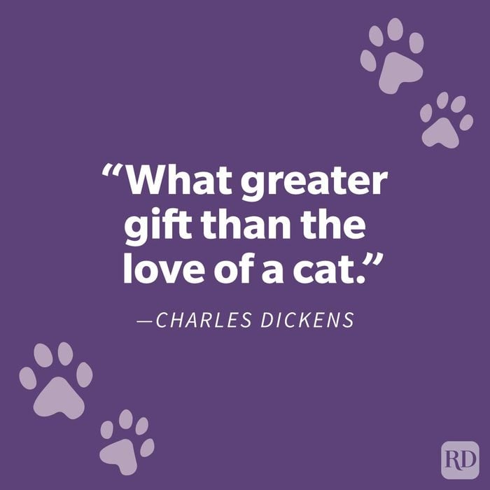 Comforting Pet Loss Quote To Help You Grieve Your Furry Friend Charles Dickens on purple background with paw prints
