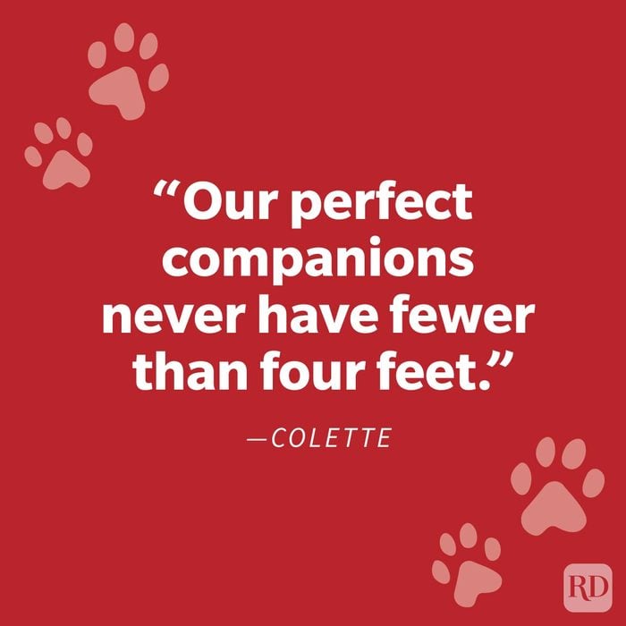 Comforting Pet Loss Quote To Help You Grieve Your Furry Friend Colette on red background with paw prints