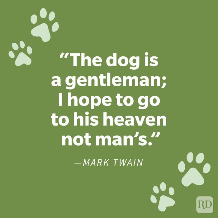 Comforting Pet Loss Quote To Help You Grieve Your Furry Friend Mark Twain on green background with paw prints