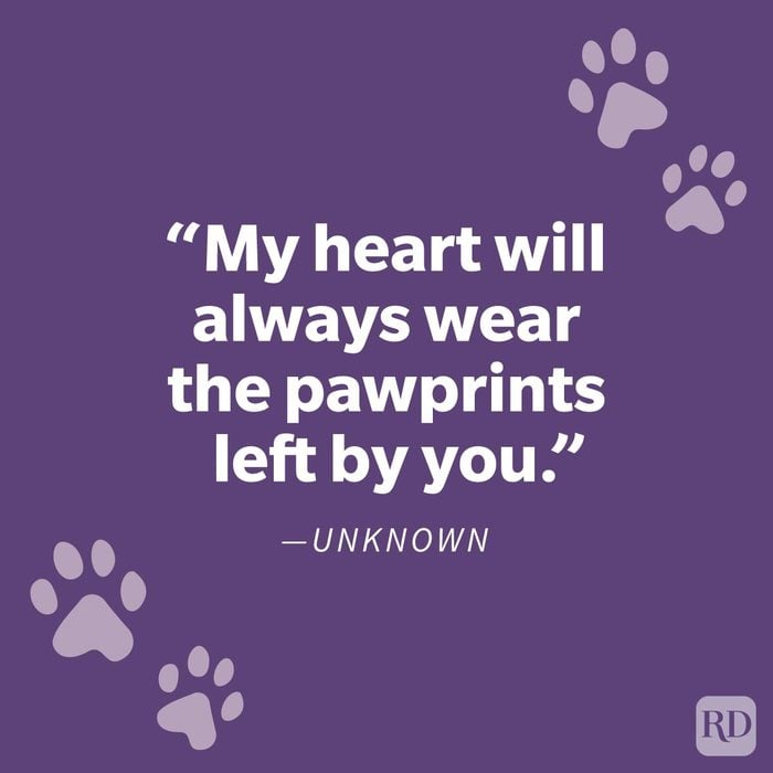 Comforting Pet Loss Quote To Help You Grieve Your Furry Friend Unknown on purple background with paw prints