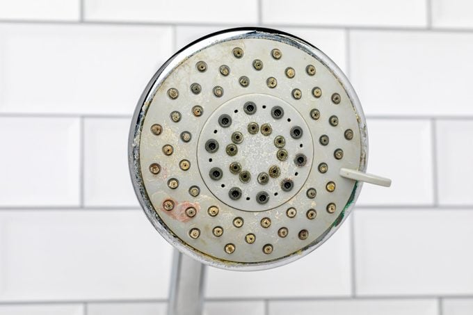 dirty shower-head before cleaning
