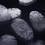 12 Surprising Facts About Fingerprints, Including Why We Even Have Them