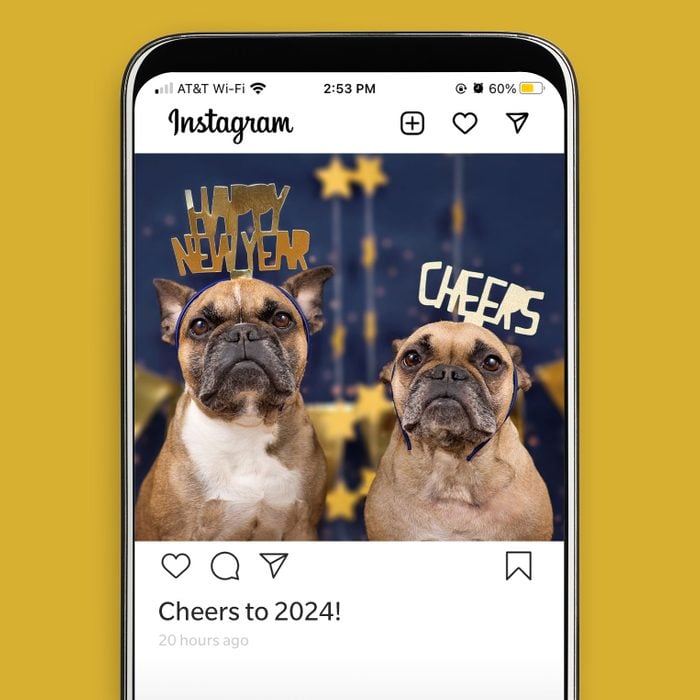 New Years instagram post of Two French bulldogs wearing New Years themed head bands. One says "Happy New Year" and the other says "Cheers"