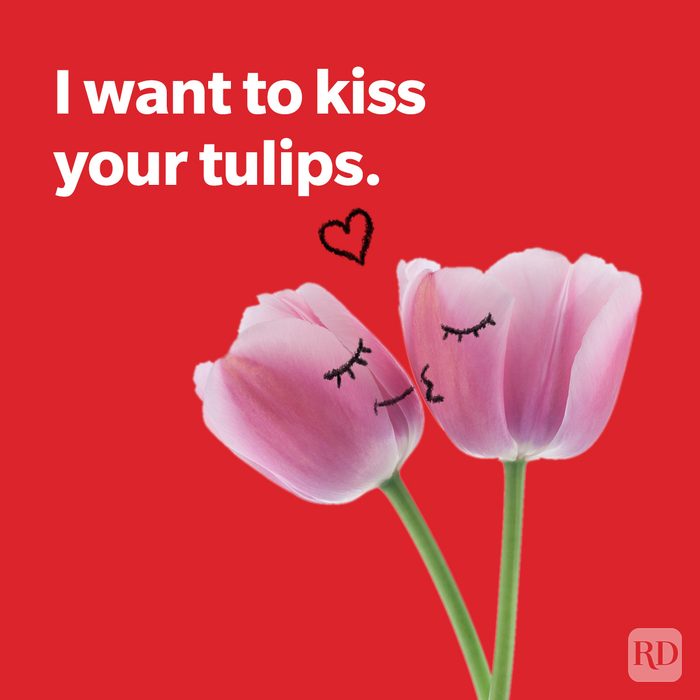 120 Silly Valentines Day Puns To Make Your Sweetheart Smile Nature