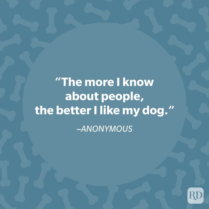 40 Paw Some Dog Quotes To Celebrate Our Furry Friends Anonymous Dog Quote 33 Graphic