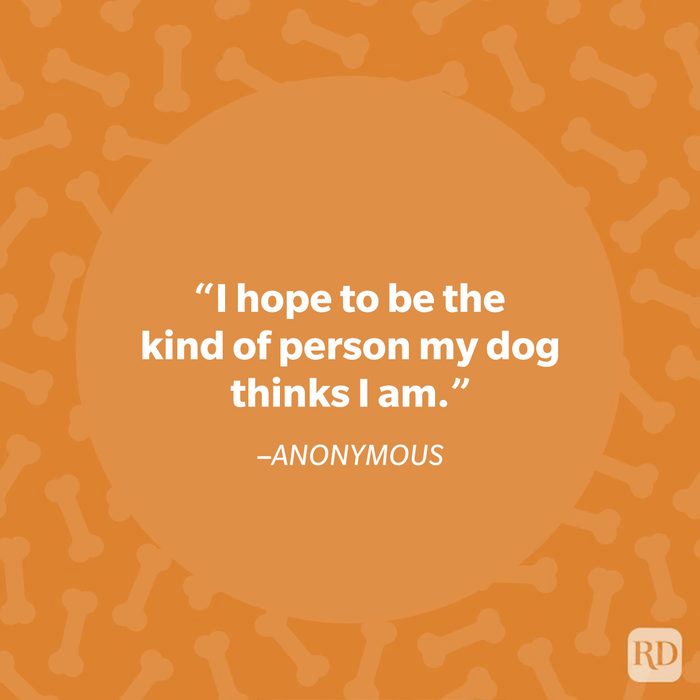 Anonymous dog quote