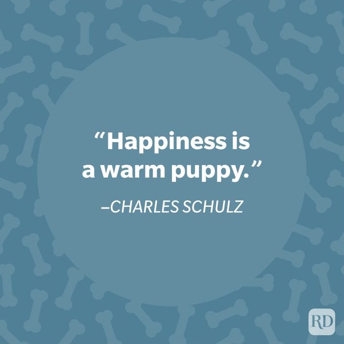 Charles Schultz Dog Quote