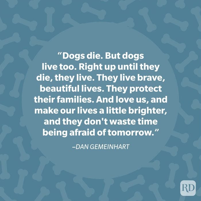 40 Paw Some Dog Quotes To Celebrate Our Furry Friends Dan Gemeinhart Dog Quote Graphic