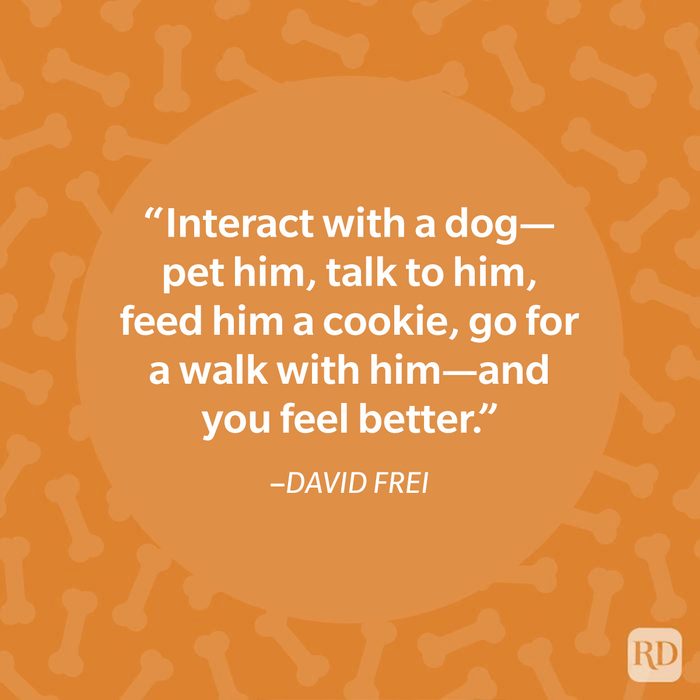 David Frei Dog Quote