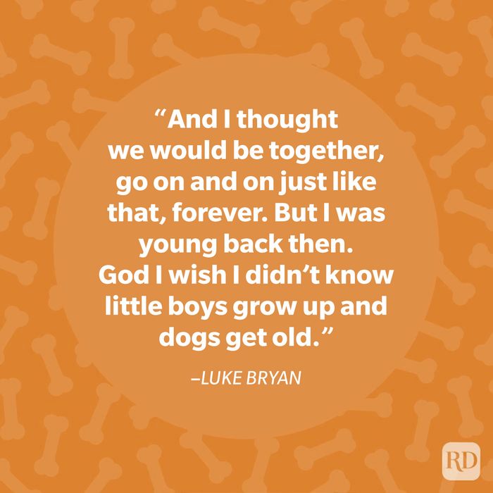 Luke Bryan dog quote