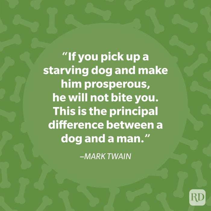 Mark Twain dog quote
