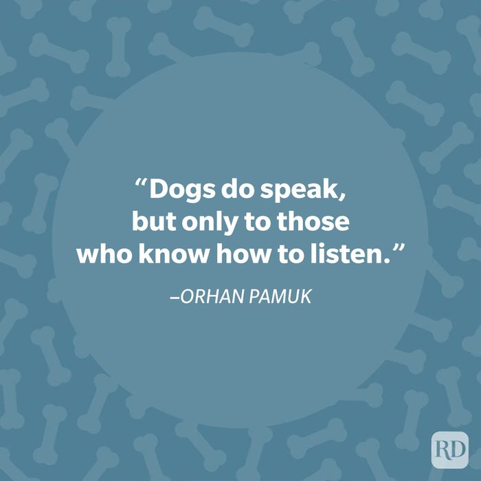 Orhan Pamuk dog quote