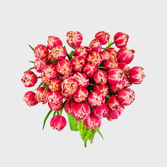 Bloomsybox Pink Peony Tulips