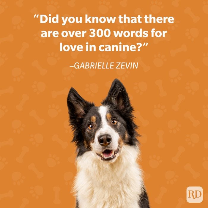 Gabrielle Zevin Dog Quote