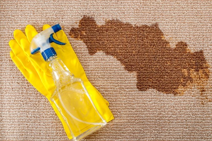 Cleaning supplies and carpet sanitizing concept with a pair of yellow rubber gloves and a bottle of carpet cleaner with a spray head next to a dried big brown coffee stain
