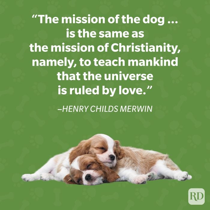 Henry Childs Merwin Dog Quote Graphic
