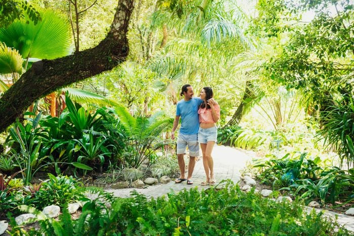 Honeymoon Couple Walking In Tropical Park 