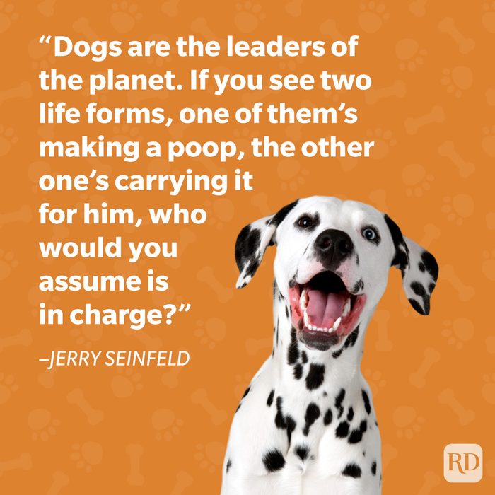 Jerry Seinfeld Dog Quote