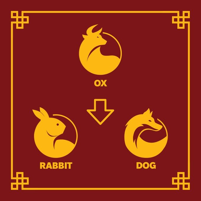 Chinese zodiac animals that will face difficulty in the Year Of The Dragon