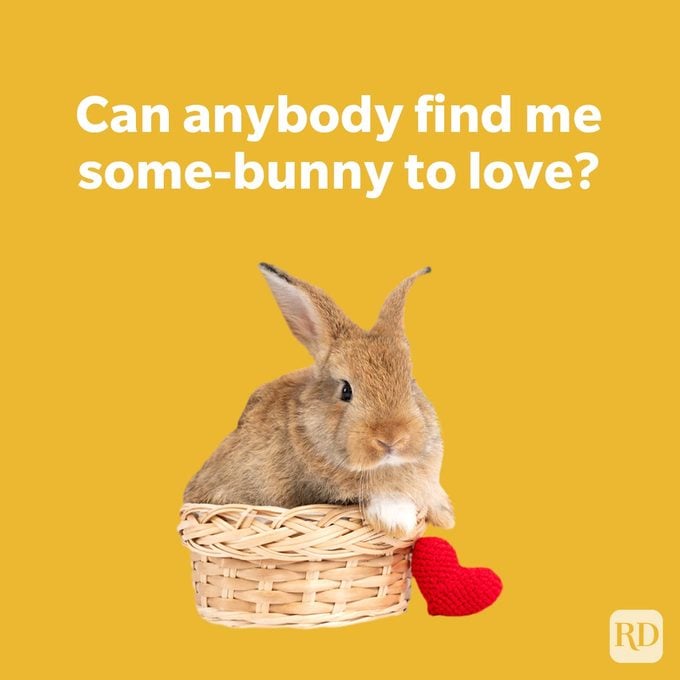 Egg Stra Funny Easter Puns To Break Out This Year "can anybody find me some-bunny to love" with a bunny in a basket with a heart.