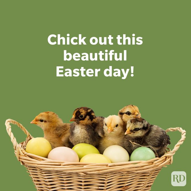 Egg Stra Funny Easter Puns To Break Out This Year "chick out this beautiful Easter Day!" with baby chickens and Easter eggs in basket image.