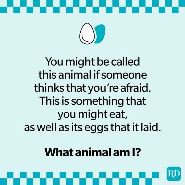 Animal Riddles That Are Serious Mind Benders about a chicken.