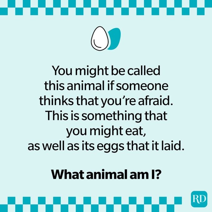 Animal Riddles That Are Serious Mind Benders about a chicken.