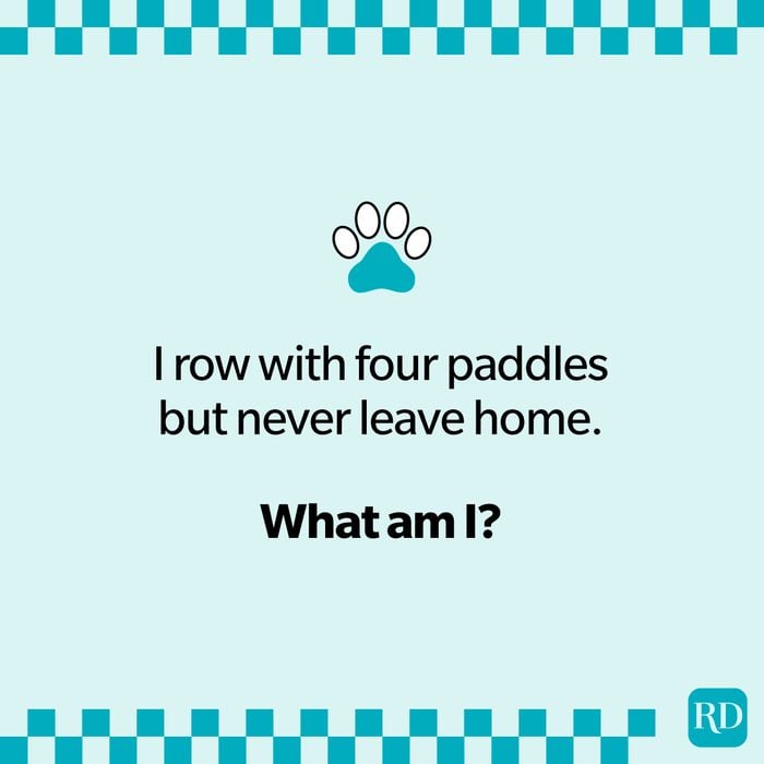 animal riddle asking "what am I" against a light blue background