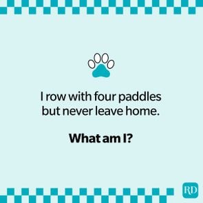 Animal Riddles That Are Serious Mind Benders about a turtle.