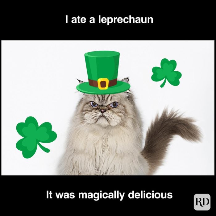 St. Patrick’s Day Meme of Grumpy Cat that ate a leprechaun.