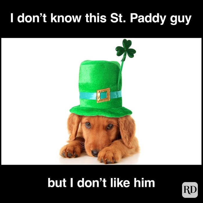 St. Patrick’s Day Meme of a cute dog scared of St. Patrick.