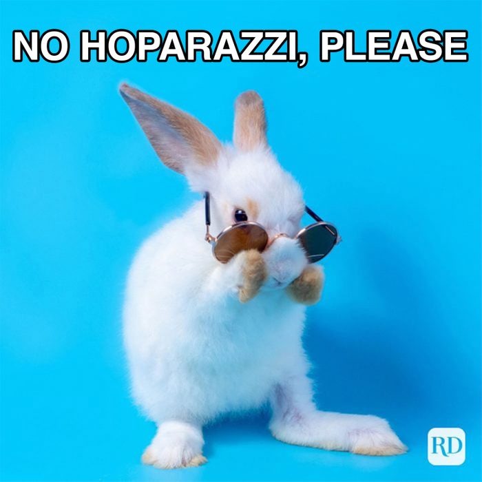 45 Hilarious Easter Memes That Will Make Any Bunny Laugh A True Hop Star Graphic