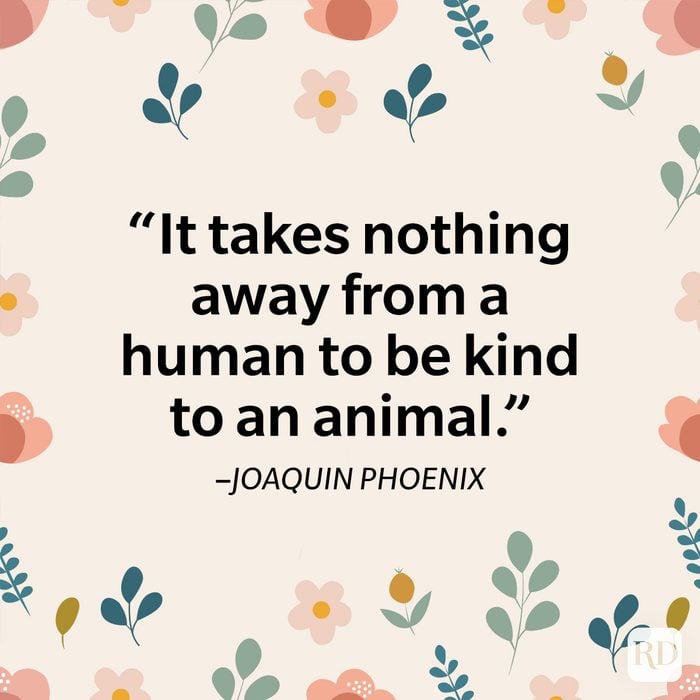 Kindness Quotes About Animals